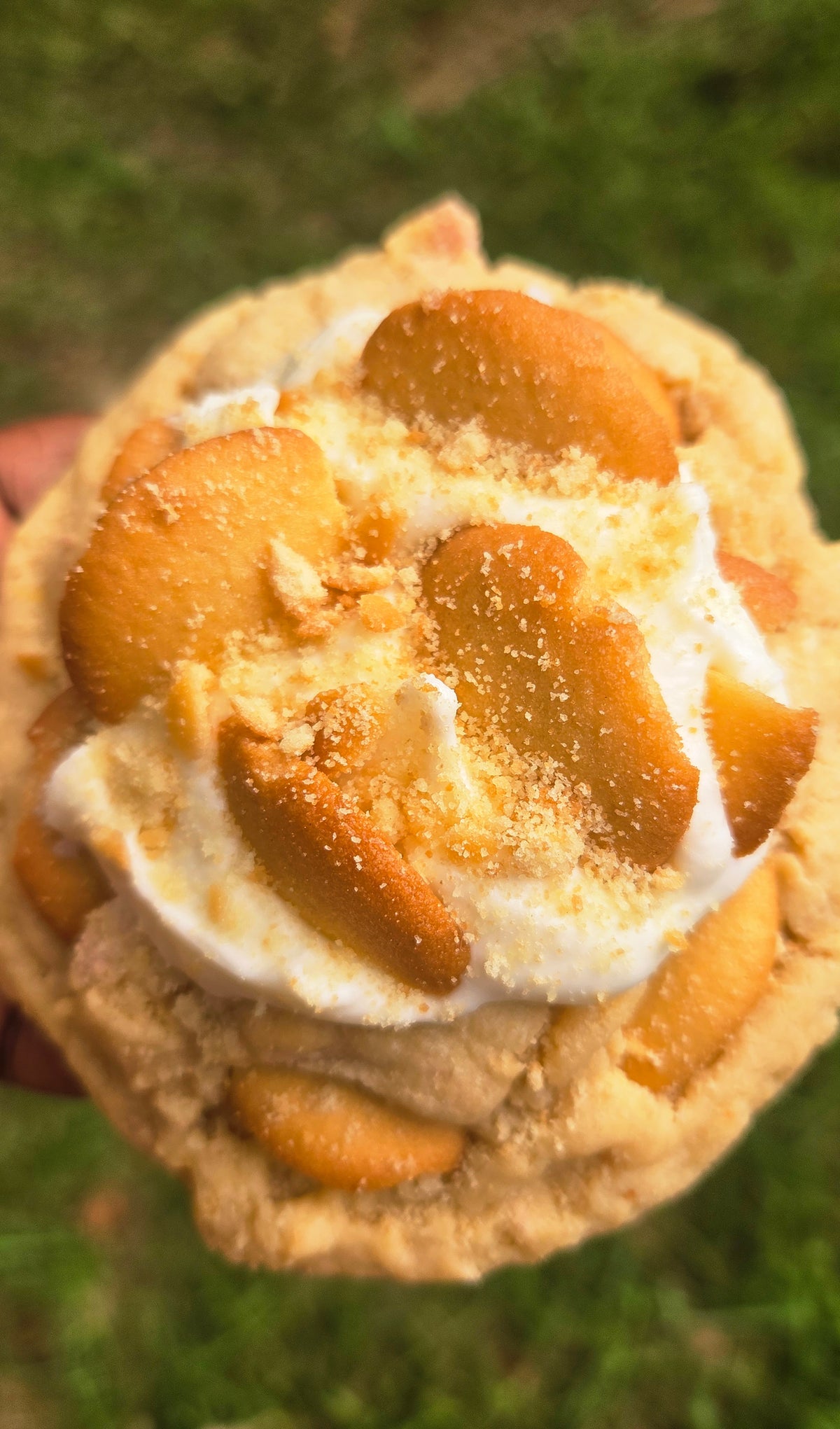 Banana Pudding Cookies